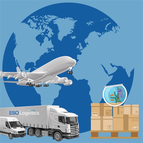 eso sea freight|Freight Delivery Company .